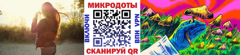 купить  сайты  Макарьев  Псилоцибиновые грибы MAGIC MUSHROOMS 